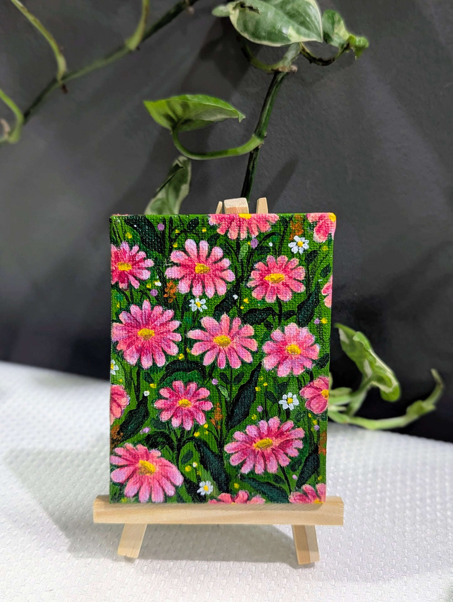 Blush Flowers