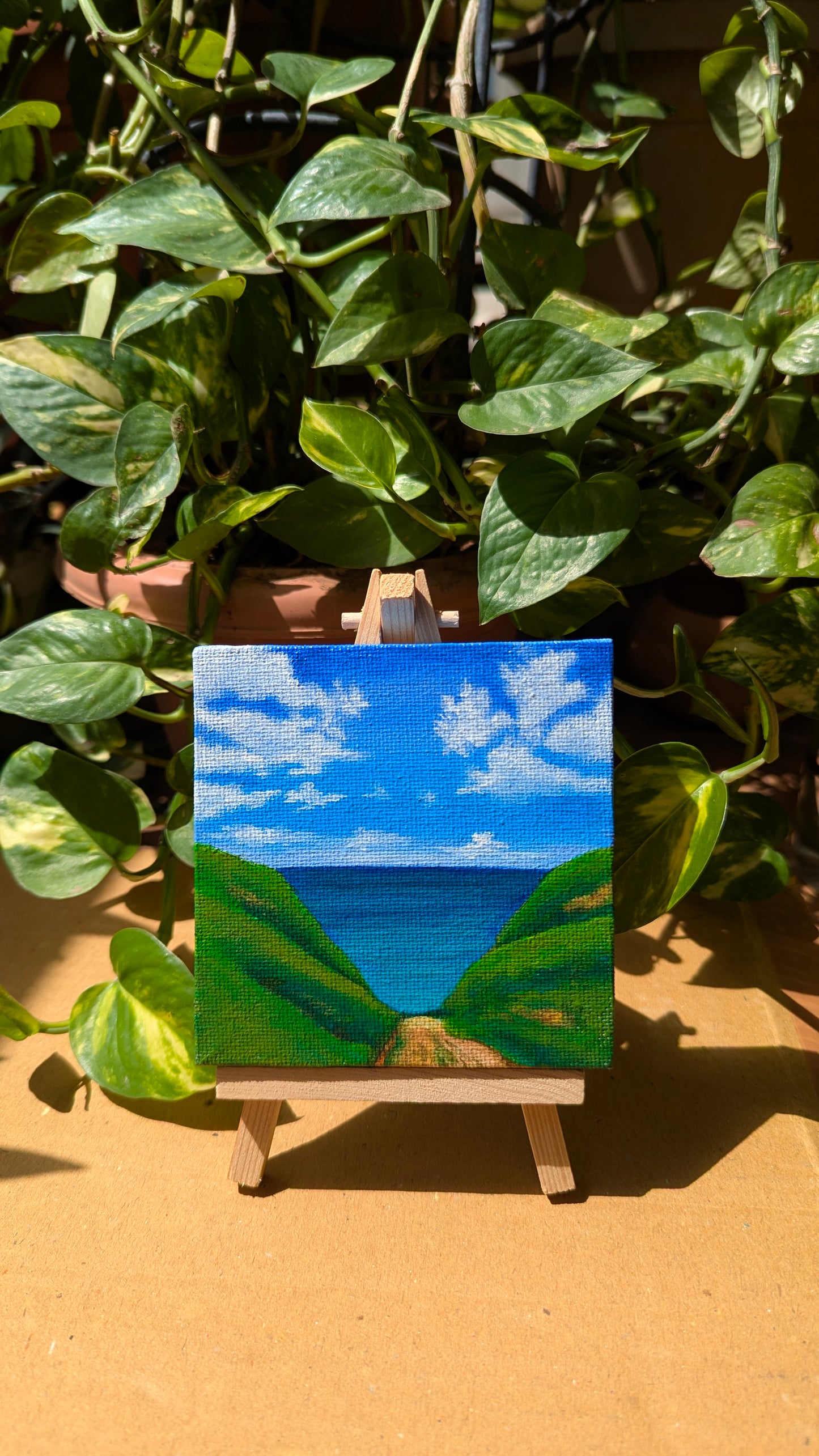 Travel Series - Way to the Beach