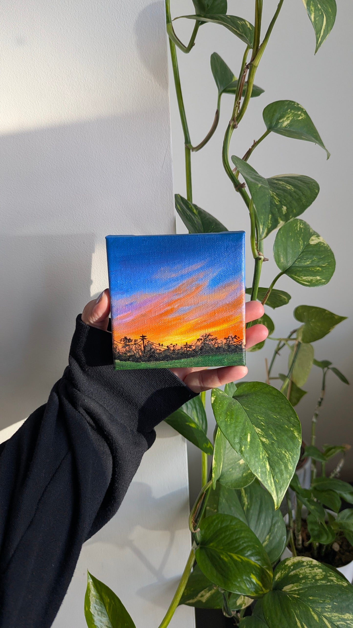 Mini Sunset Whispers