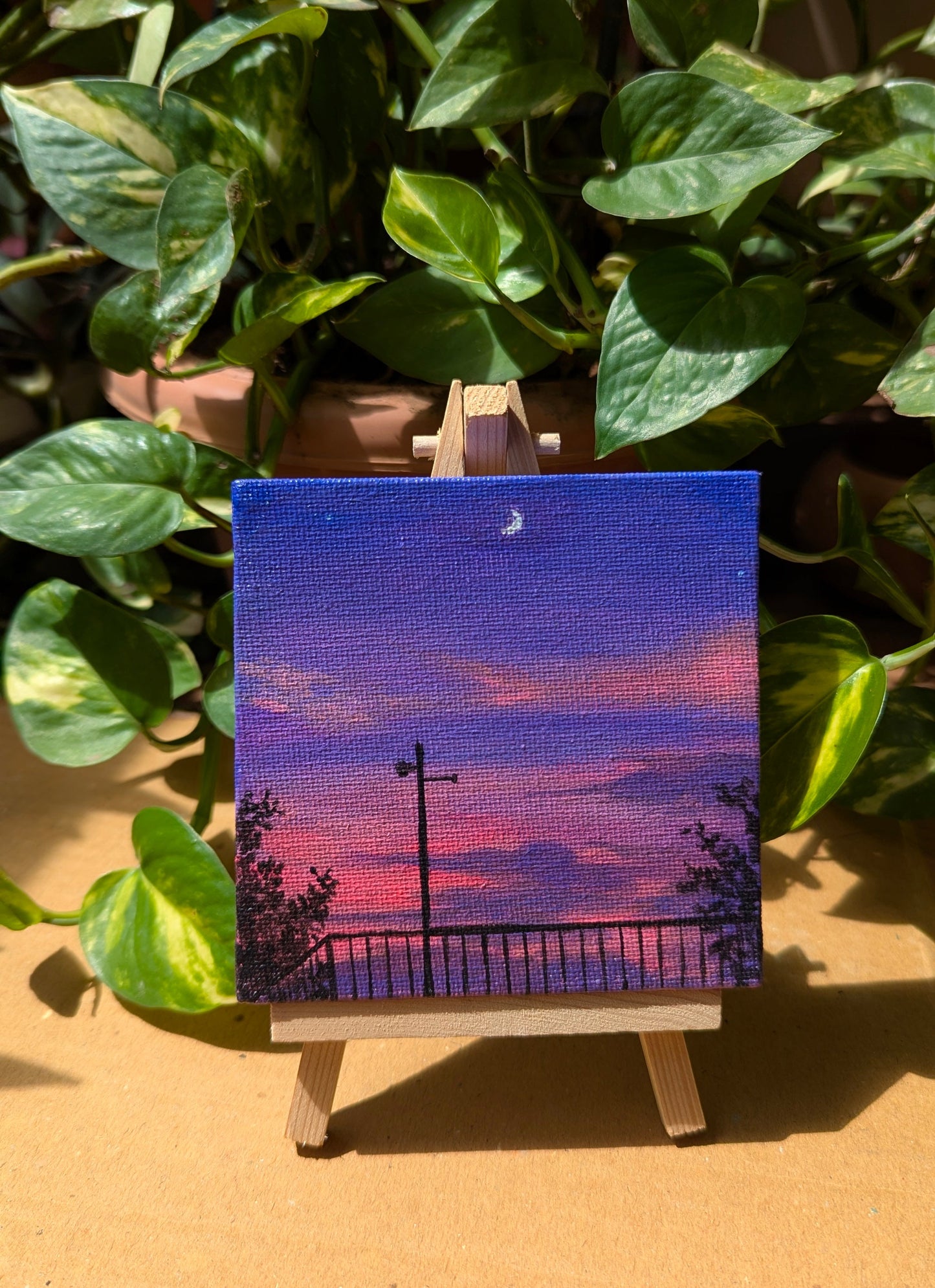 Travel Series - Look at the moon!