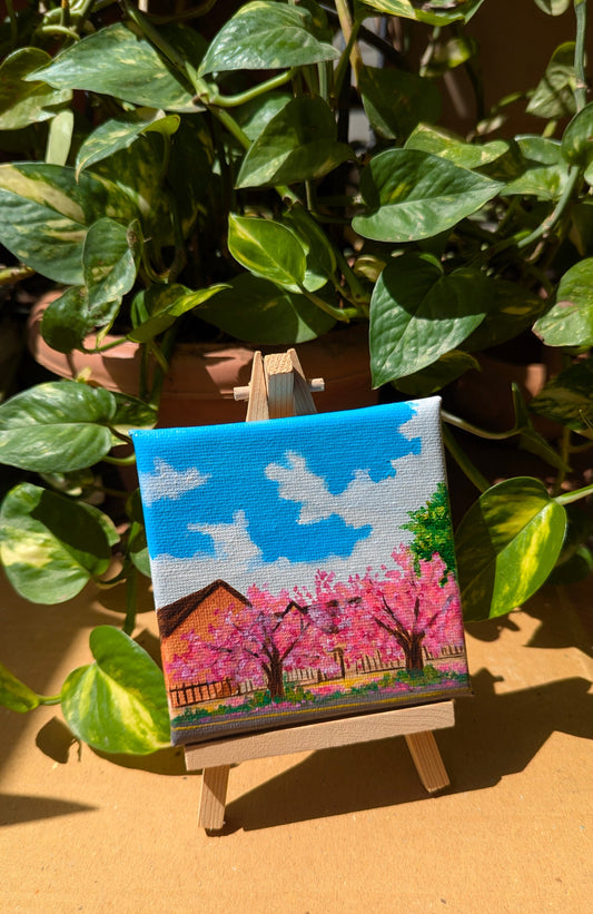 Travel Series - Pink Blossoms