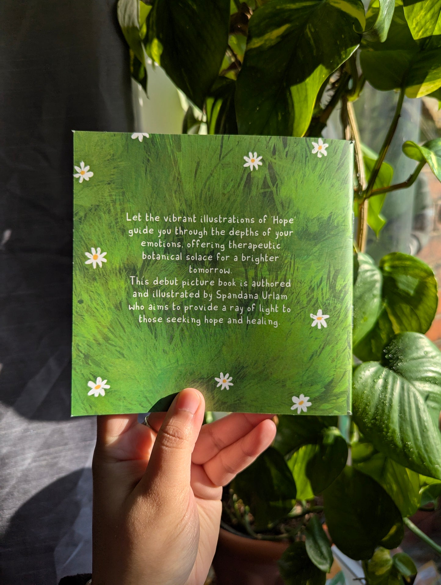Hope - illustrated book
