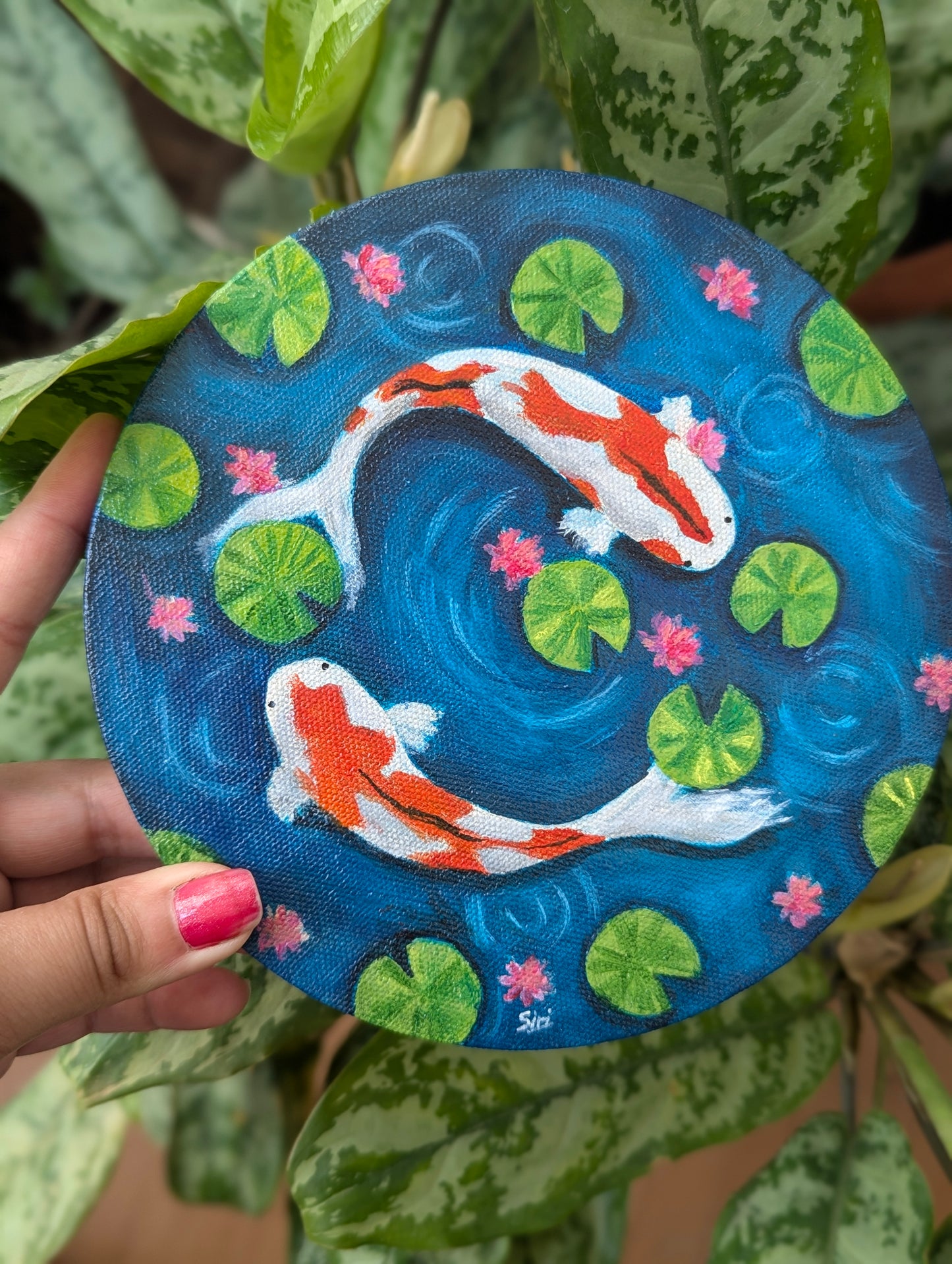 Mini Koi Fish Pond