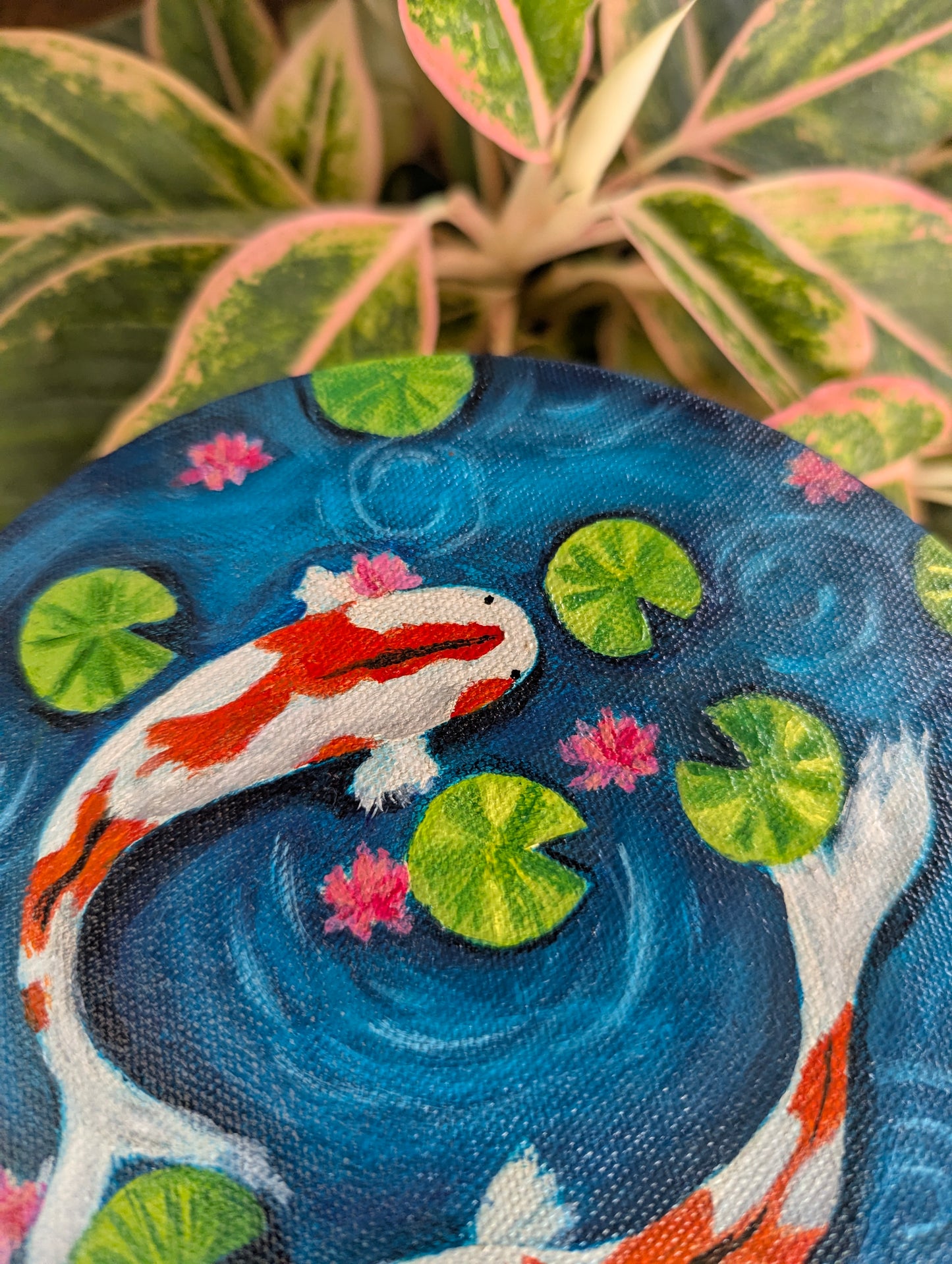 Mini Koi Fish Pond